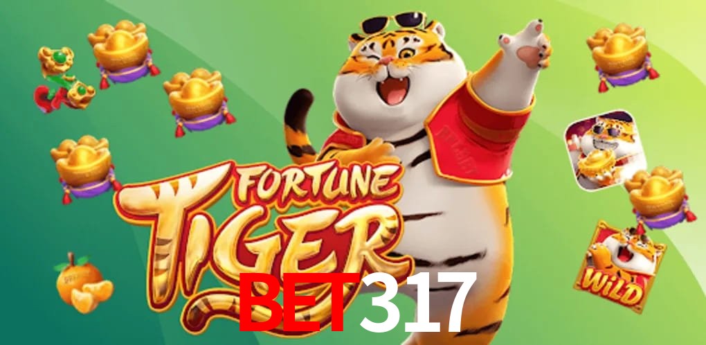 Experiência VIP bet317